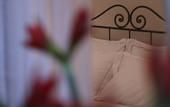Туры в отель Corsini Tintori Guest House