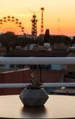 Туры в отель Maxxmarine hotel