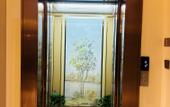 Туры в отель Vienna Hotel (Binzhou Wudi Ancient City Branch)