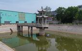 Туры в отель Vienna Hotel (Binzhou Wudi Ancient City Branch)