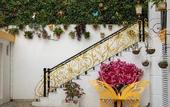 Туры в отель Sterling Marbella Dehradun