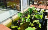 Туры в отель Lotus Home