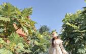 Туры в отель Lotus Home