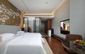 Туры в отель Tiegang Jinjiang Metropolo Hotel (Chengdu Qingbaijiang Railway Port Hotel)