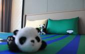 Туры в отель TANGDI ORIENTAL HOTEL
