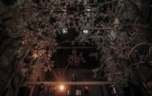 Туры в отель House of Tugu Old Town Jakarta