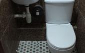 Туры в отель Australian Guest House