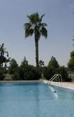 Туры в отель Budget Inn Sanford
