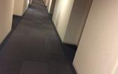 Туры в отель Hiyori Hotel Osaka Suminoekoen Station