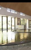Туры в отель Hiyori Hotel Osaka Suminoekoen Station
