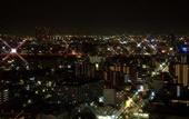 Туры в отель Hotel Agora Regency Osaka Sakai