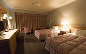 Туры в отель Hotel Agora Regency Osaka Sakai