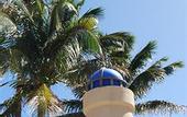 Туры в отель Monte Carlo by Miami Vacations