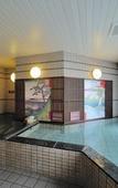 Туры в отель Dormy Inn EXPRESS Meguro Aobadai Hot Spring