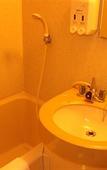 Туры в отель Hotel Live Max Budget - Tokyo Hamura Station