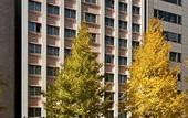 Туры в отель Kadoya Hotel