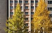 Туры в отель Kadoya Hotel