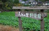 Туры в отель Ohara no Sato