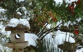 Туры в отель Ohara no Sato