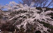 Туры в отель Ohara no Sato