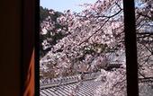 Туры в отель Ohara no Sato
