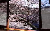 Туры в отель Ohara no Sato