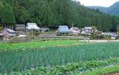 Туры в отель Ohara no Sato
