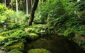 Туры в отель Ohara no Sato