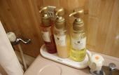 Туры в отель The Hedistar Hotel Narita