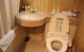Туры в отель The Hedistar Hotel Narita