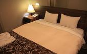 Туры в отель The Hedistar Hotel Narita
