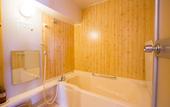 Туры в отель The Hedistar Hotel Narita