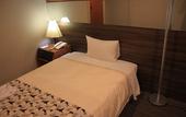 Туры в отель The Hedistar Hotel Narita