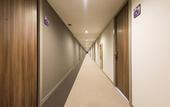 Туры в отель The Hedistar Hotel Narita
