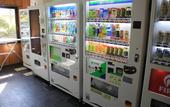 Туры в отель The Hedistar Hotel Narita
