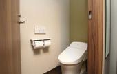 Туры в отель The Hedistar Hotel Narita