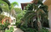 Туры в отель Family House Resort