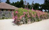 Туры в отель Vessel Hotel Ishigaki Island