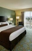 Туры в отель Crowne Plaza Cabana, Palo Alto by IHG