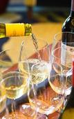 Туры в отель Crowne Plaza Cabana, Palo Alto by IHG