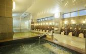 Туры в отель Premier Hotel Cabin Sapporo