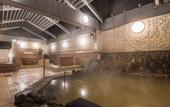 Туры в отель Premier Hotel Cabin Sapporo