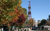 Туры в отель Hotel Resol Trinity Sapporo