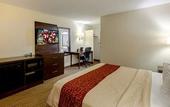 Туры в отель Red Roof Inn Cincinnati Airport–Florence/ Erlanger