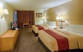 Туры в отель Red Roof Inn Cincinnati Airport–Florence/ Erlanger