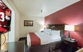Туры в отель Red Roof Inn Oklahoma Airport – I-40 W/Fairgrounds