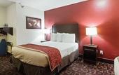 Туры в отель Red Roof Inn Oklahoma Airport – I-40 W/Fairgrounds