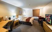 Туры в отель Red Roof Inn PLUS+ Boston - Mansfield/ Foxboro