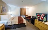 Туры в отель Red Roof Inn PLUS+ Boston - Mansfield/ Foxboro