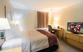 Туры в отель Red Roof Inn PLUS+ Boston - Mansfield/ Foxboro